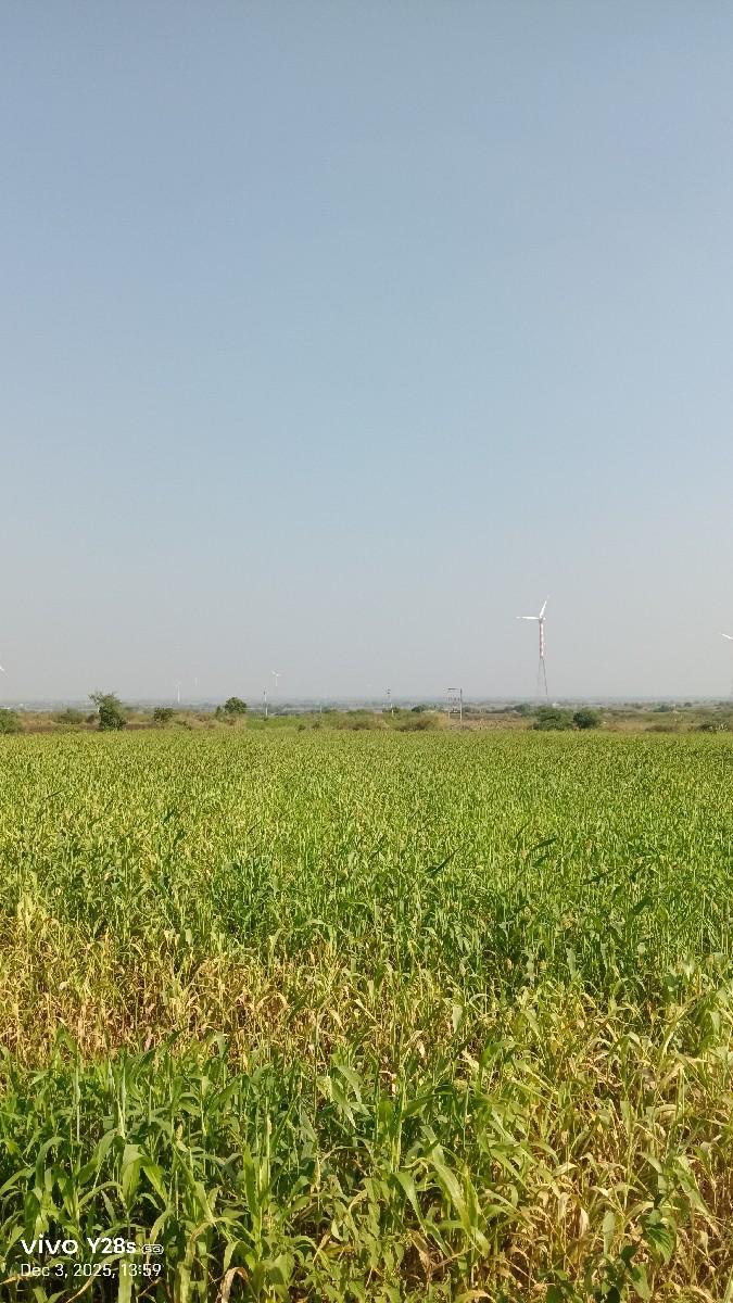 થંબનેલ 3