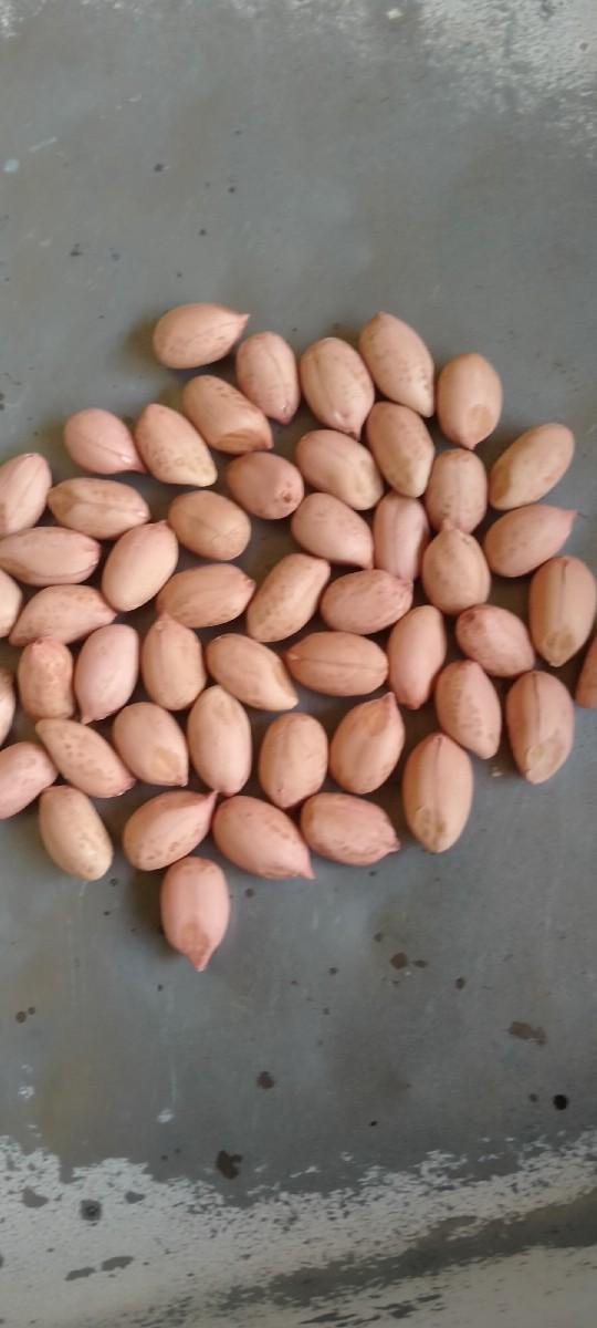 આ માંડવી દેવાની સે બી માટે