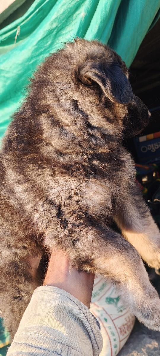 थंबनेल 2