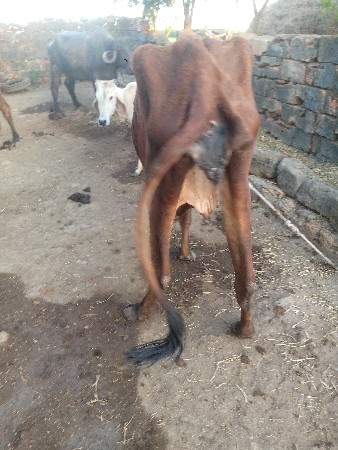 થંબનેલ 2