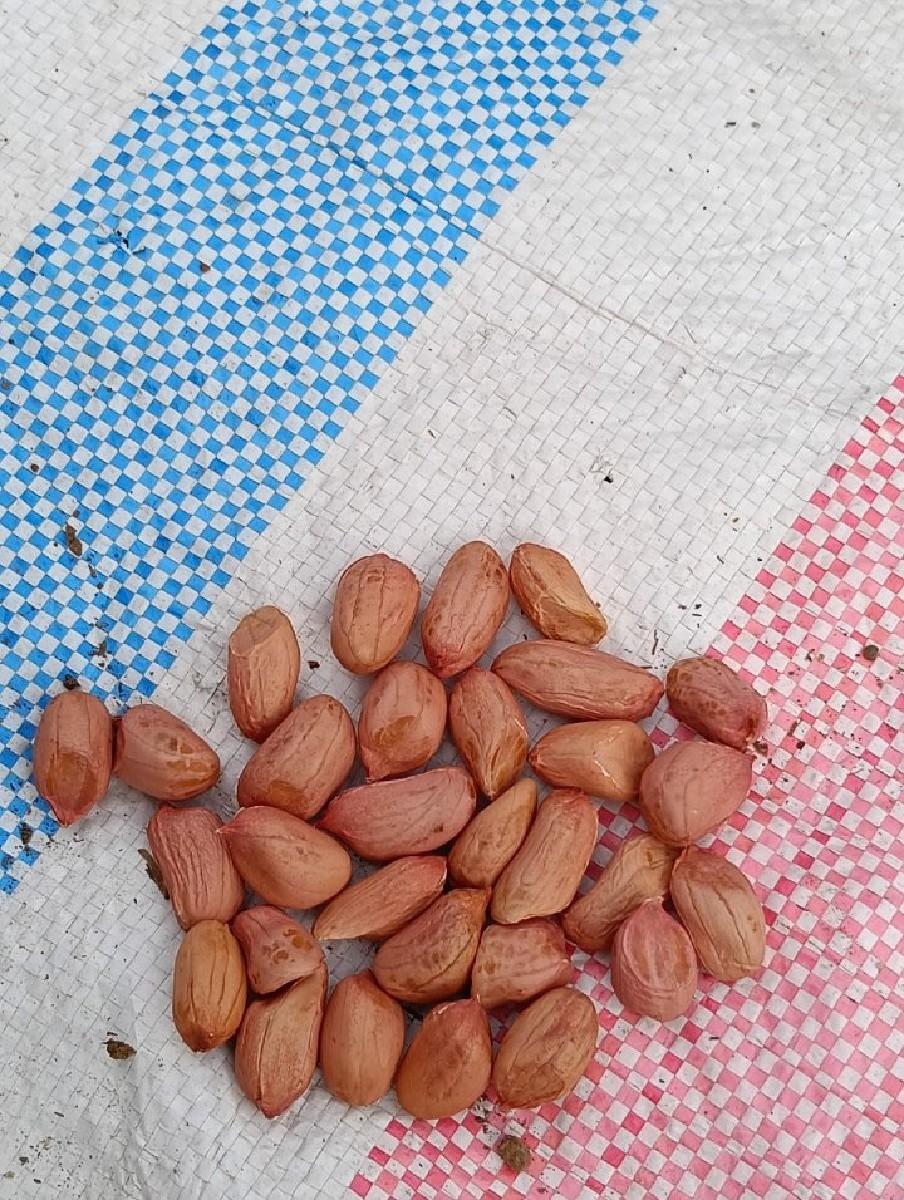 થંબનેલ 1