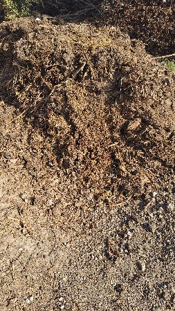 છાણીયુ ખાતર