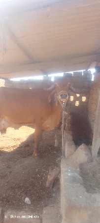 થંબનેલ 3