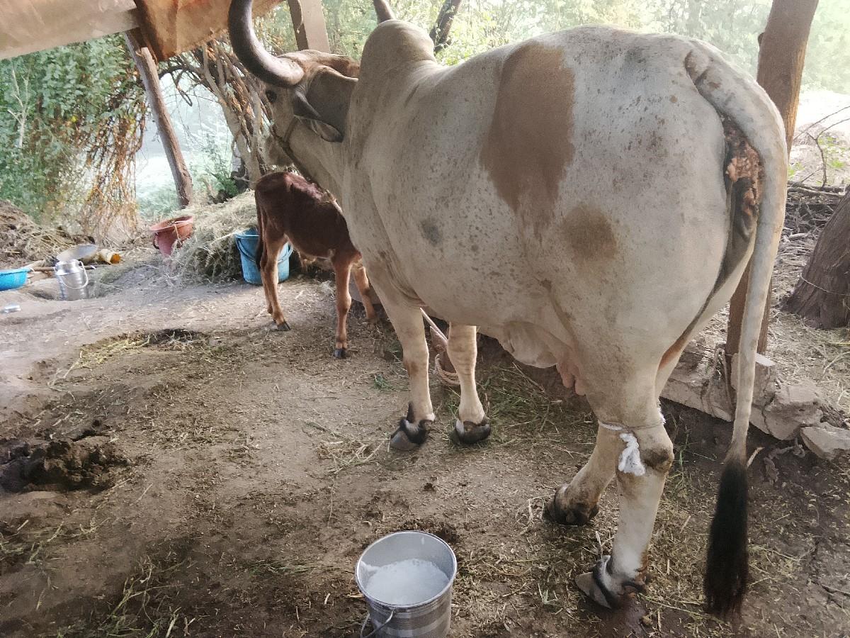 थंबनेल 2