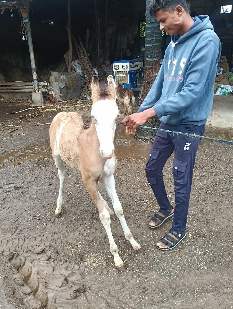 थंबनेल 2