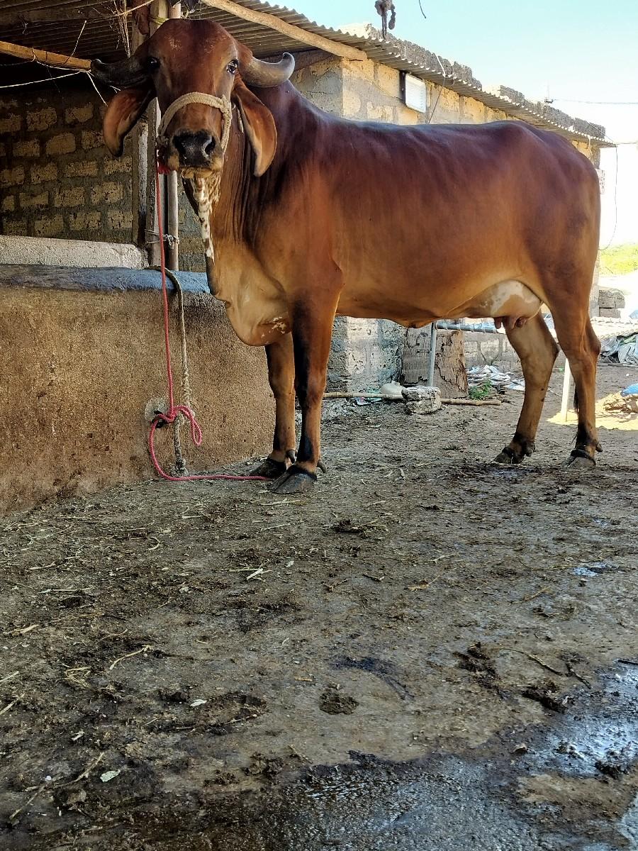 थंबनेल 2