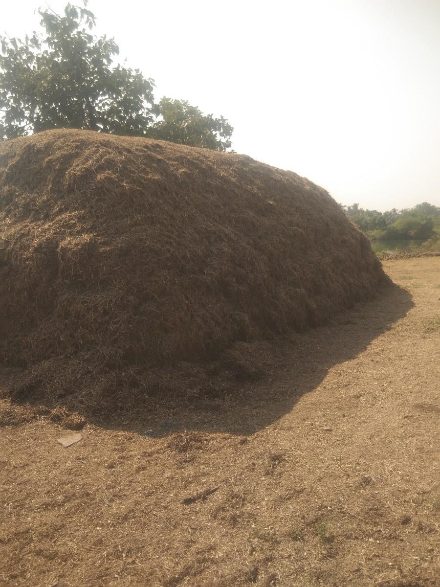 માંડવીનો ભૂકો વેચવાનો છે.