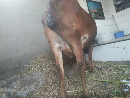 थंबनेल 3