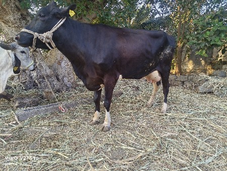 થંબનેલ 3