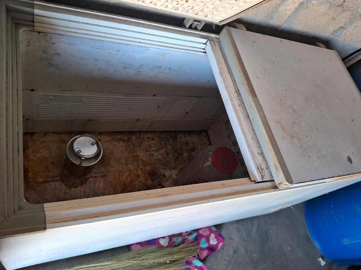 थंबनेल 3