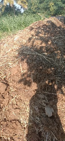 વૅચવાનુ છૅ