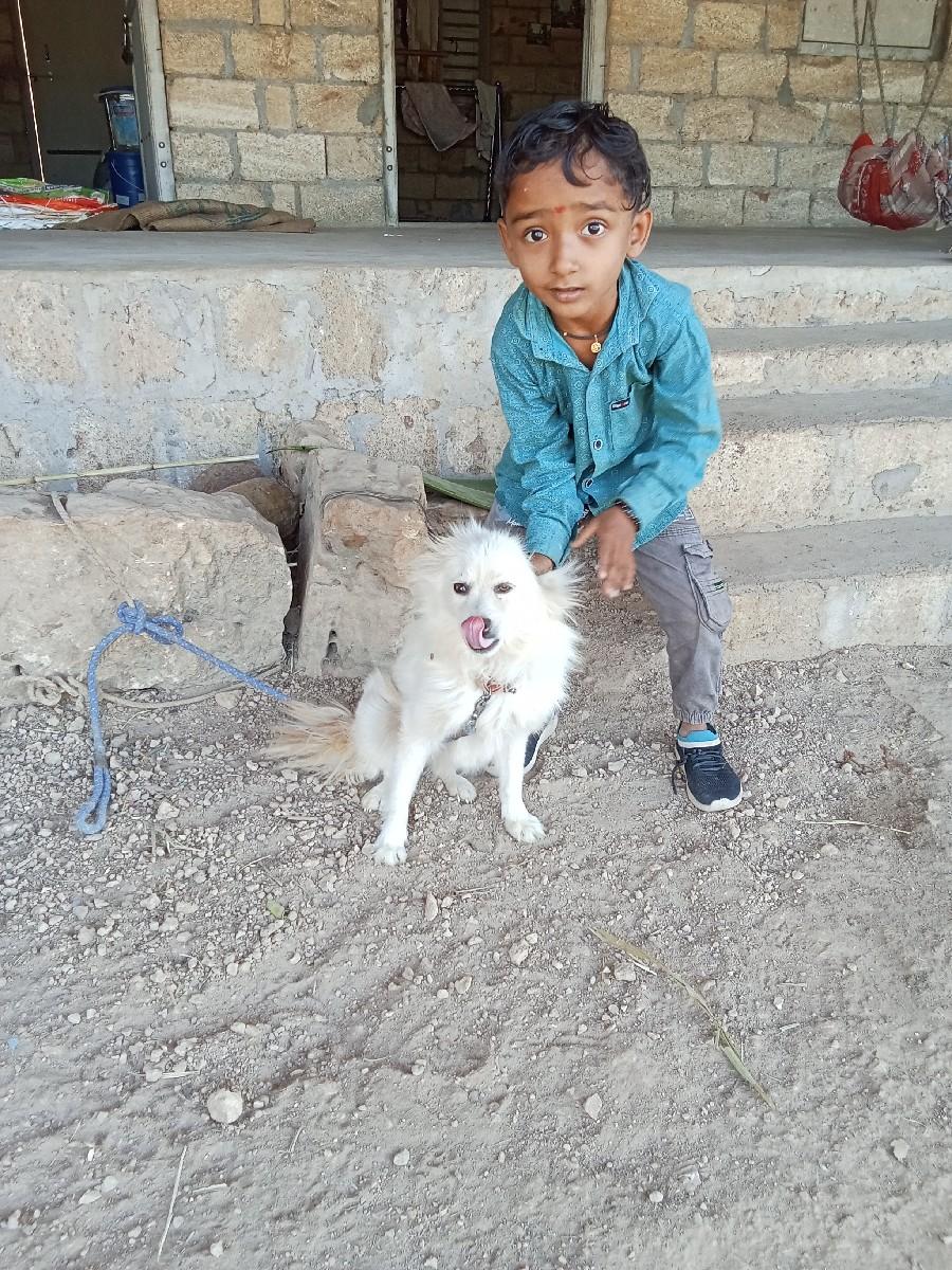 थंबनेल 2