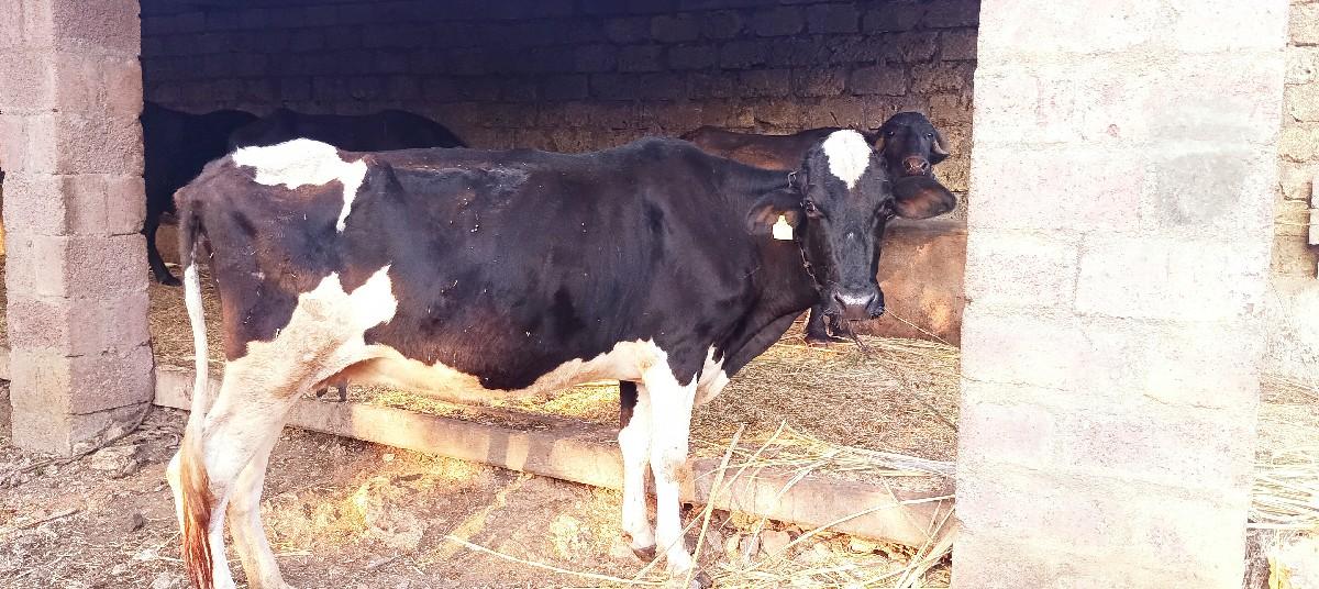 આમાં ફોન કરવો 7622929363