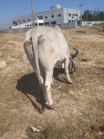 थंबनेल 2