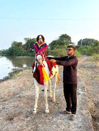 थंबनेल 2