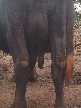 थंबनेल 3