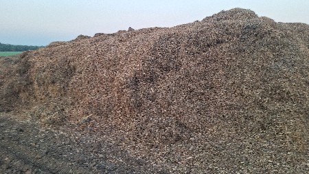 Mandvi no saaro vaishvaano se