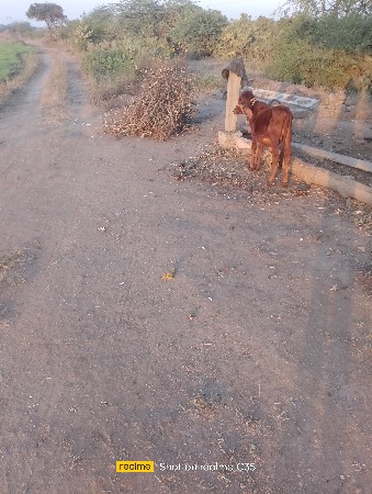 थंबनेल 2