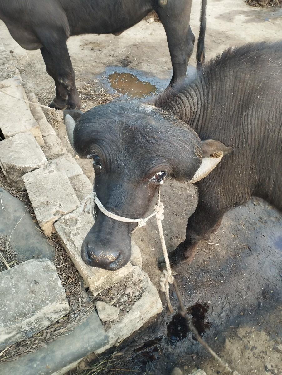 થંબનેલ 3