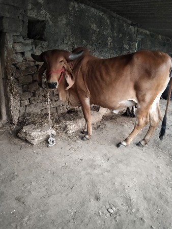 थंबनेल 3