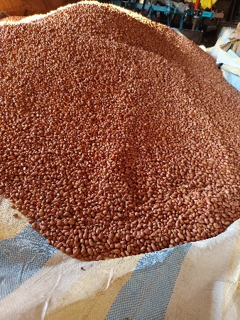 જી 20 માંડવી વેચવા ની છે