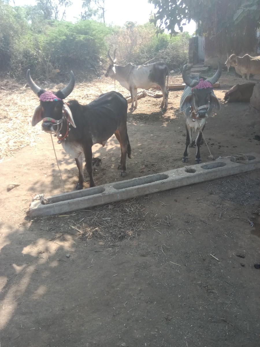 थंबनेल 3