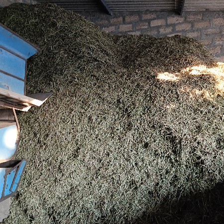 માંડવીનો ભુકો વેચવાનો છે