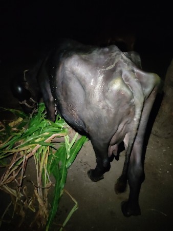 थंबनेल 2