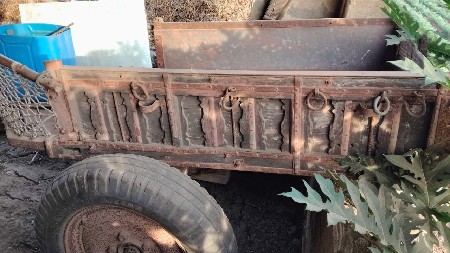 થંબનેલ 3