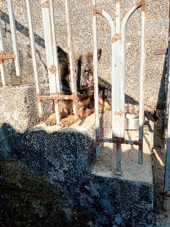 વેચવાનો છે