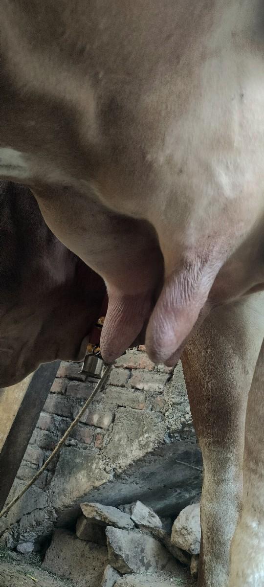 थंबनेल 3