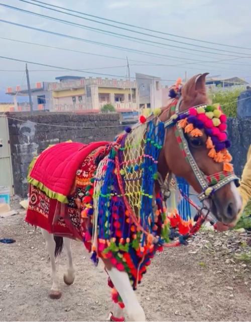 थंबनेल 3