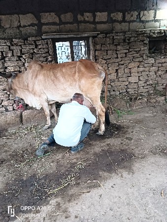 થંબનેલ 5