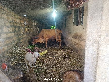 થંબનેલ 2