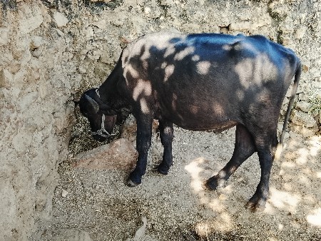 થંબનેલ 3