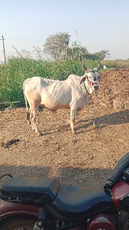 थंबनेल 3