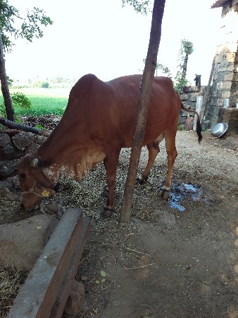 थंबनेल 3