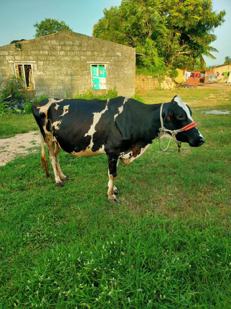 થંબનેલ 3