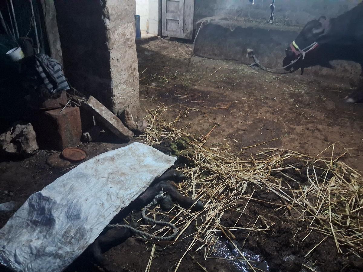 थंबनेल 2