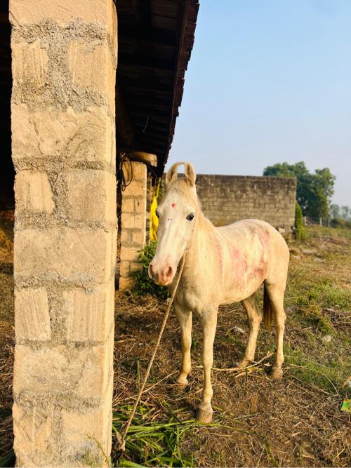 थंबनेल 2