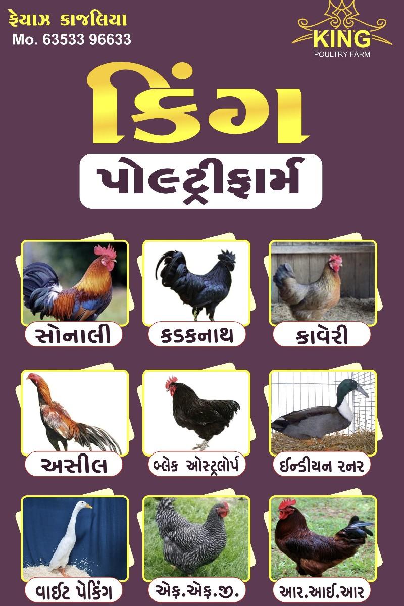 થંબનેલ 5