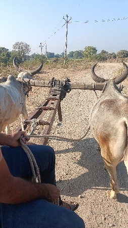 થંબનેલ 4