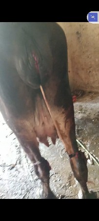 थंबनेल 3