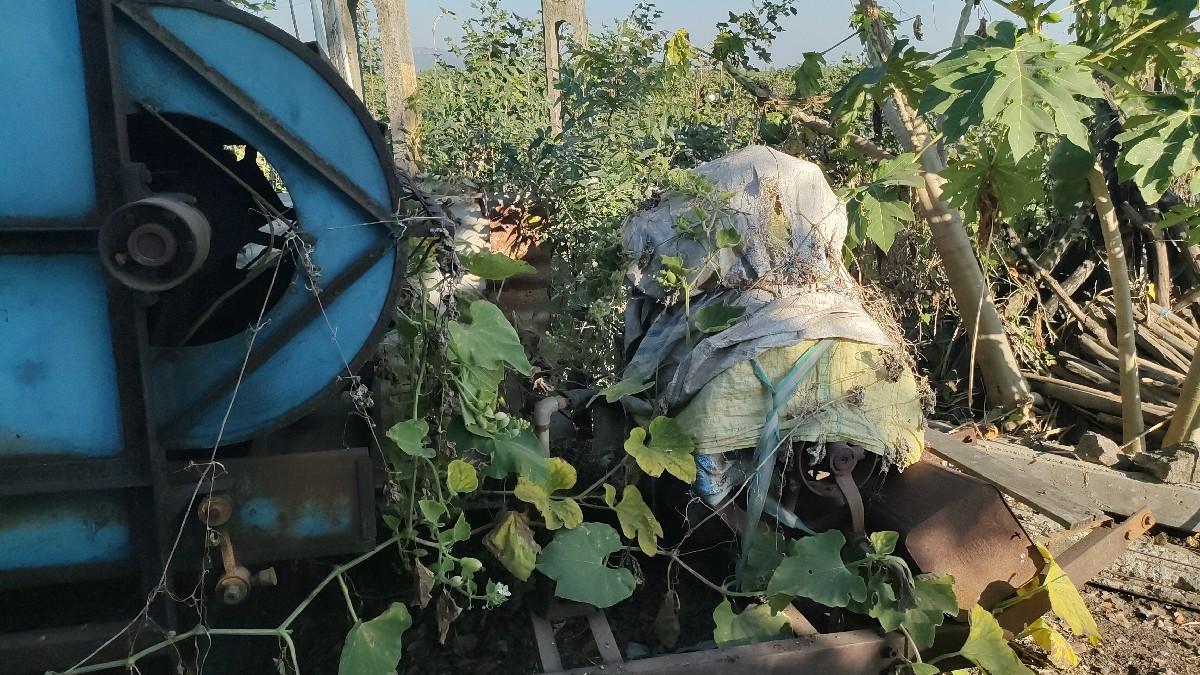 थंबनेल 3