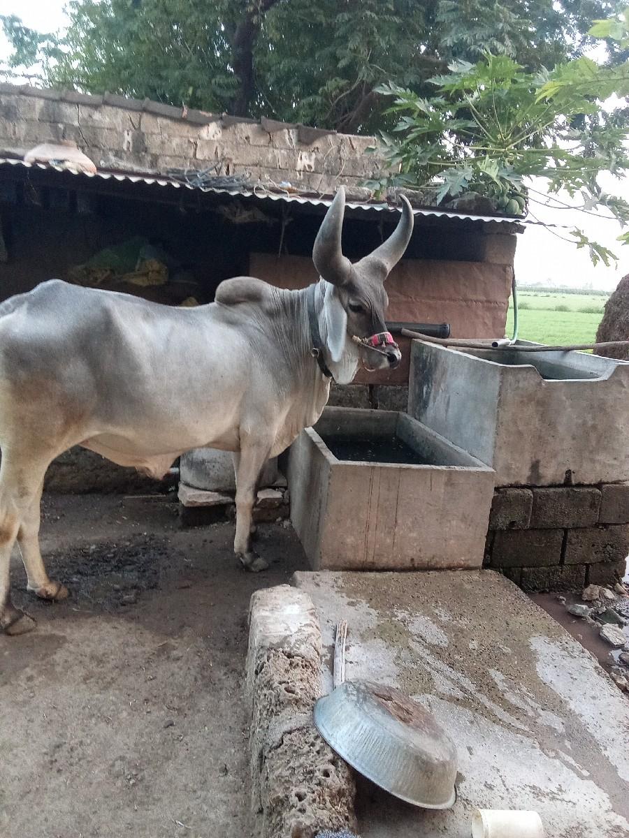 थंबनेल 3