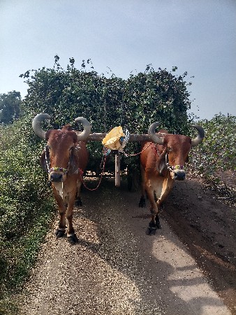 थंबनेल 2