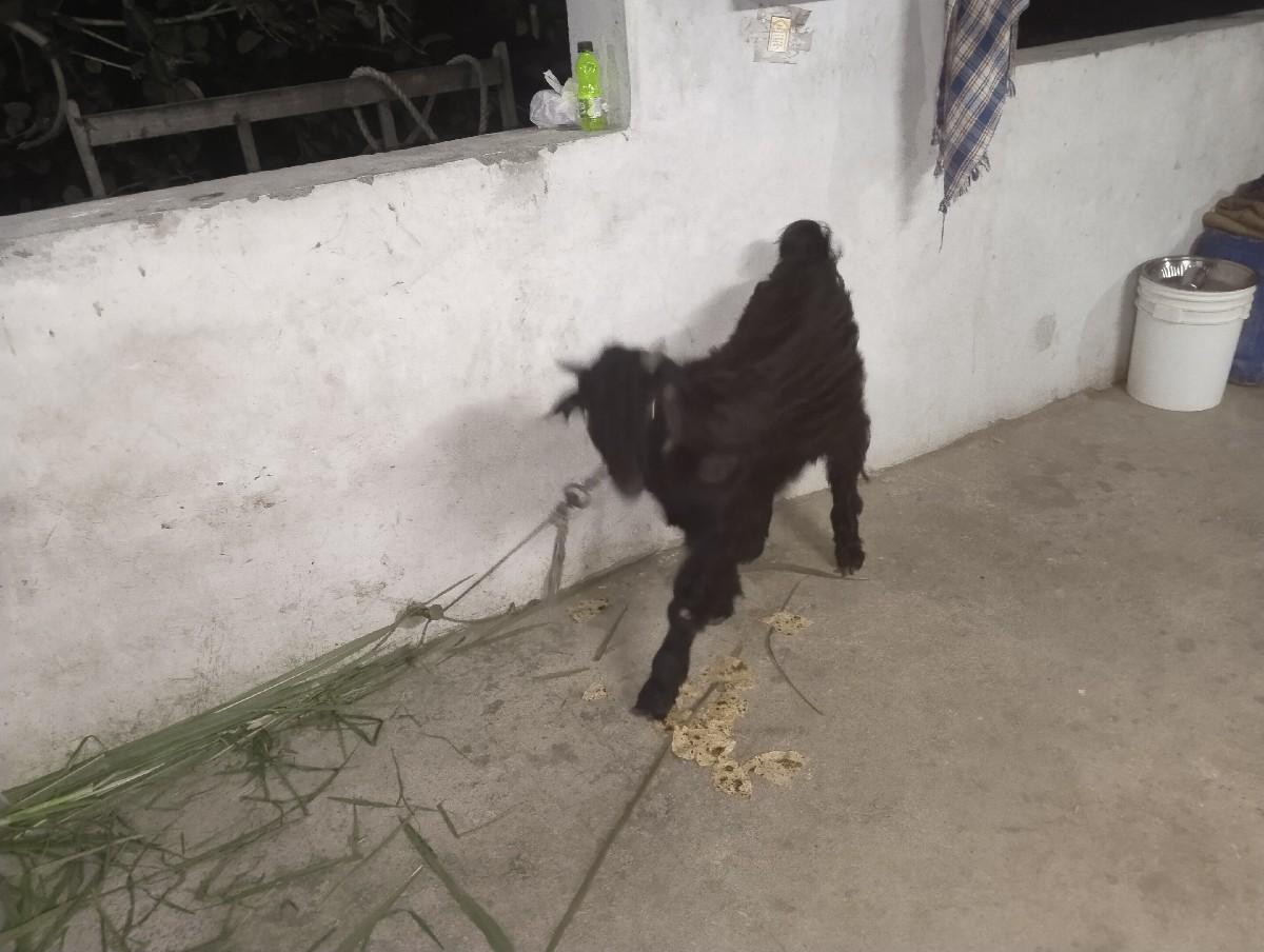 थंबनेल 3