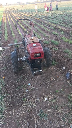 થંબનેલ 3