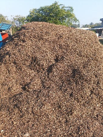 મોગોટુ વેચવા નું છે