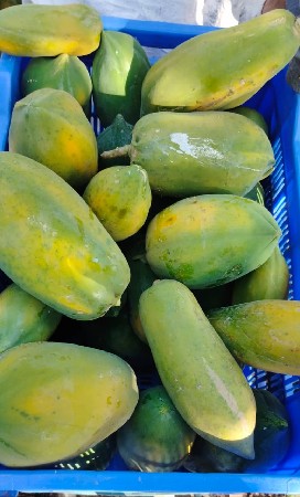 જમીન લે વેચ માટે સંપર્ક કરો*